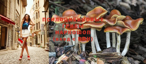 spice Белоозёрский