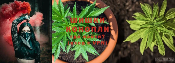 первитин Белокуриха