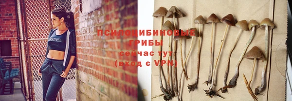spice Белоозёрский