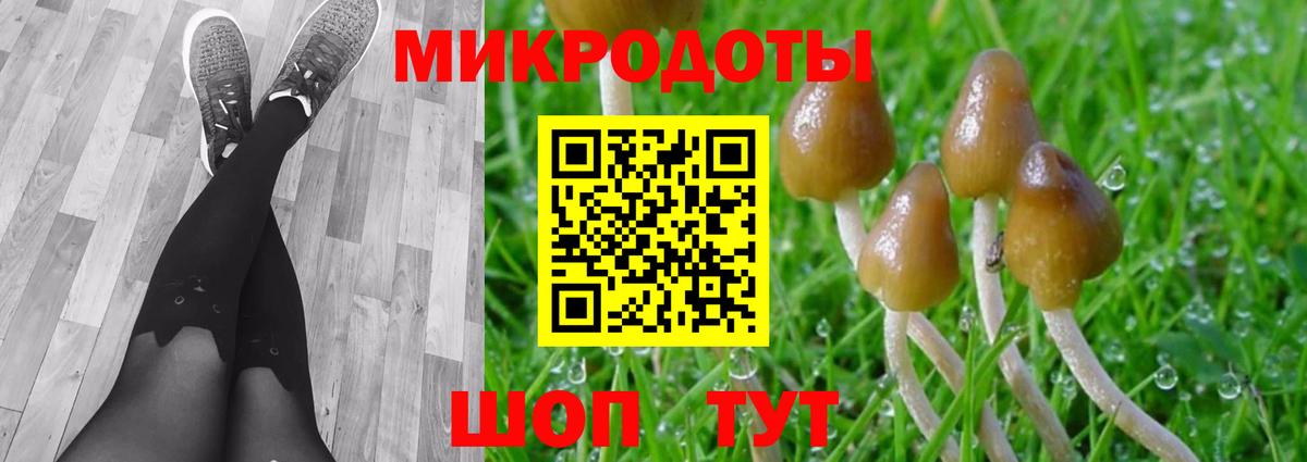 Галлюциногенные грибы GOLDEN TEACHER  Вход с VPN  что такое   Коммунар 